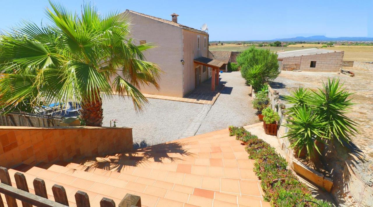 Alcoraia Villa Campos  Dış mekan fotoğraf