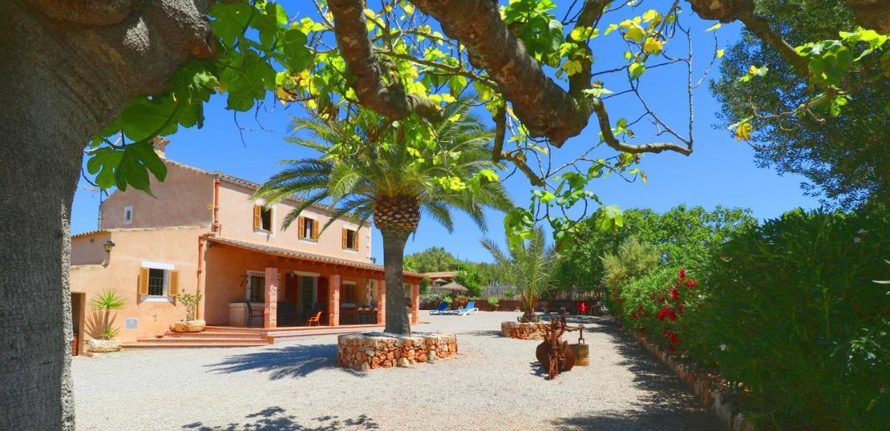 Alcoraia Villa Campos  Dış mekan fotoğraf
